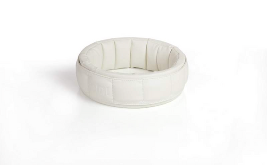 White pemf ring on a white background