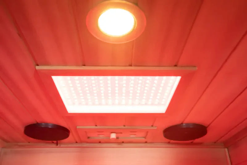 Ceiling with a light fixture and speakers in a red-walled room
