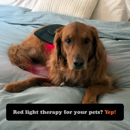 Fringe Red Light Therapy Wireless Wrap Regular