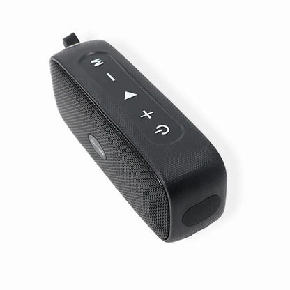 Black Saunalife speaker on a white background
