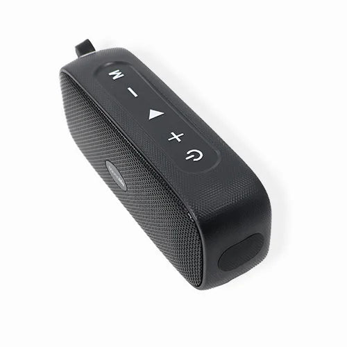 Black Saunalife speaker on a white background