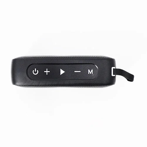 Black Saunalife speaker on a white background
