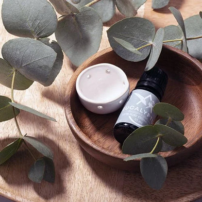 Saunum Aroma Oil Set Eucalyptus with Ceramic Reservoir