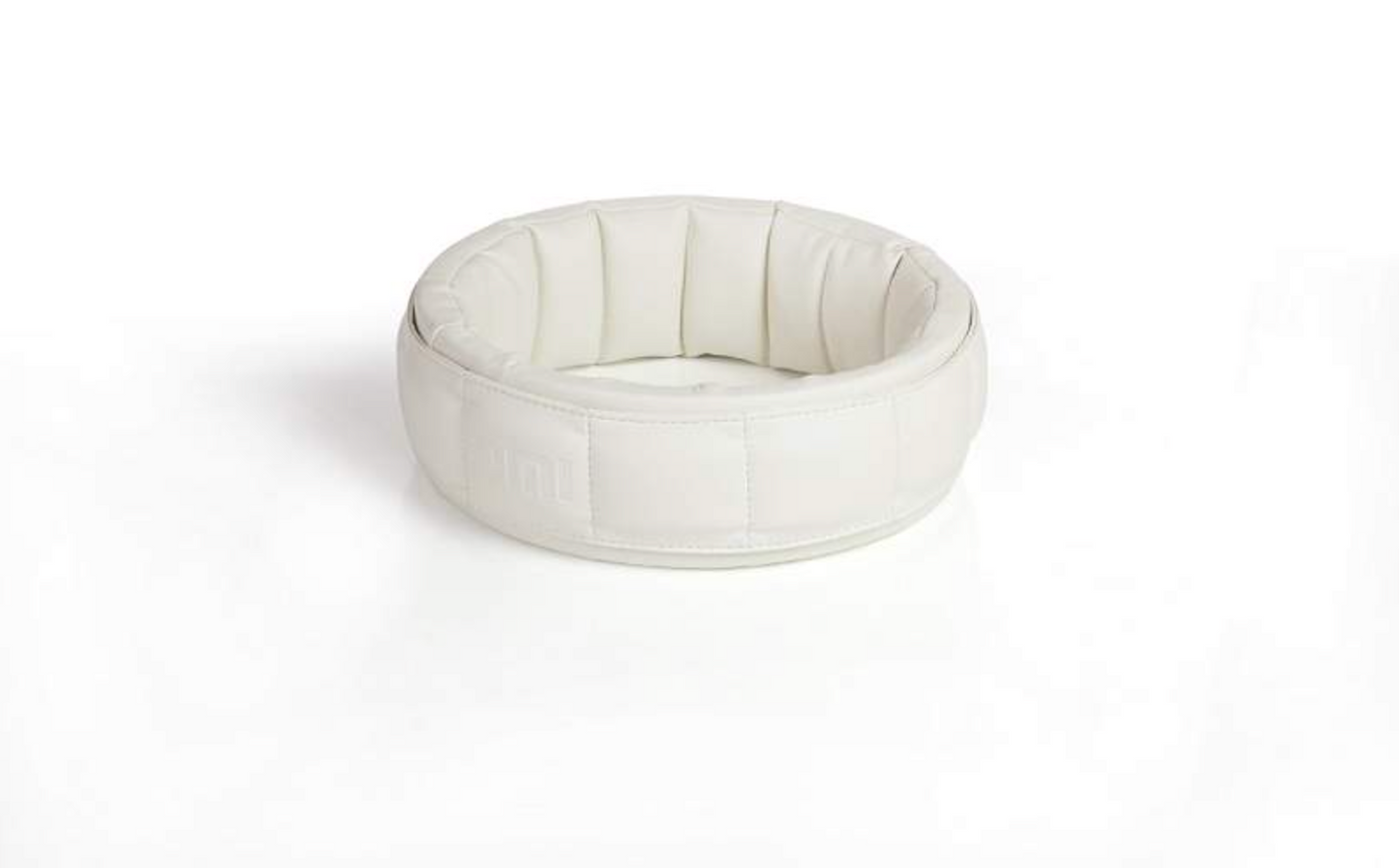 White pemf ring on a white background