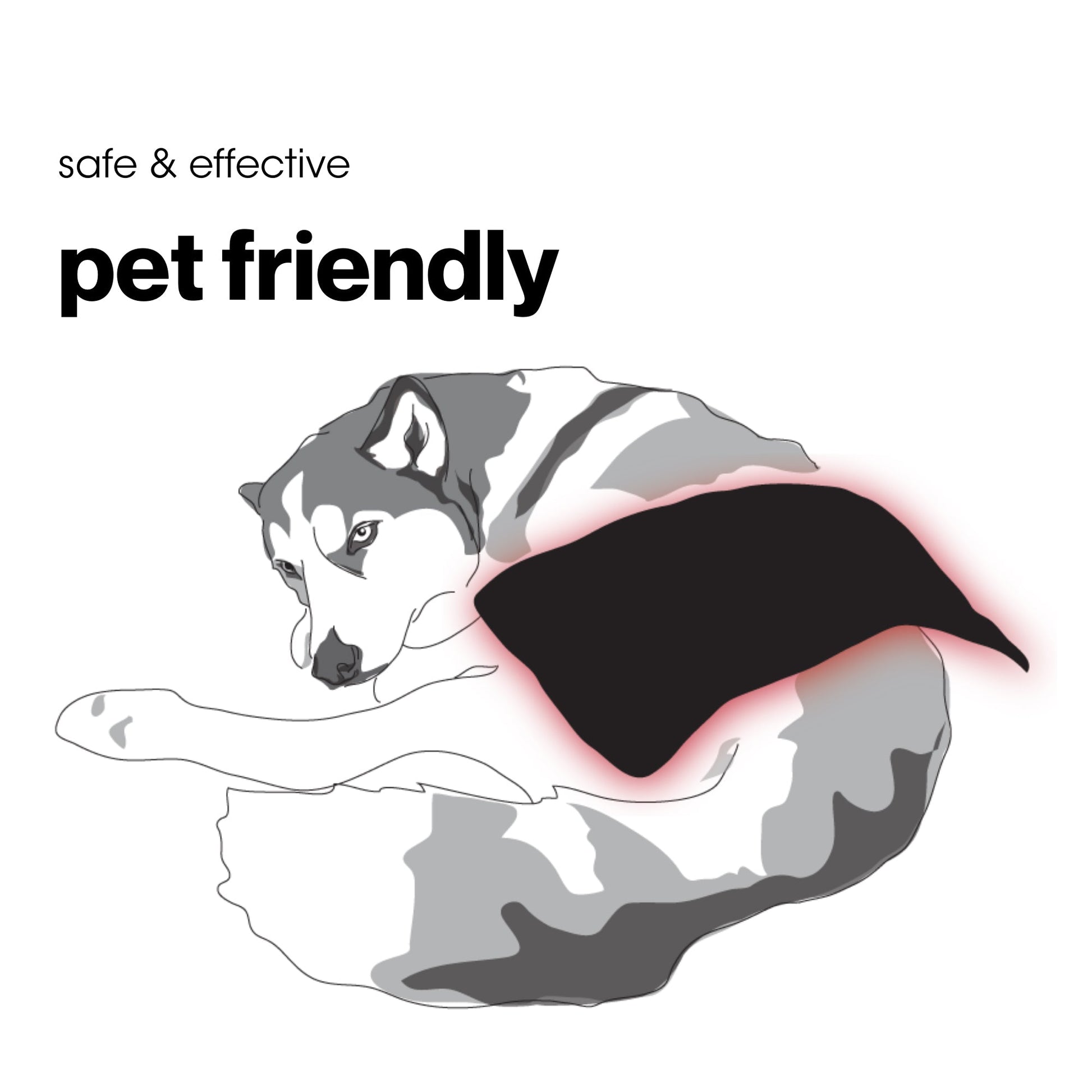 Illustration of a dog with a bandage on a white background, featuring text 'safe & effective pet friendly'.